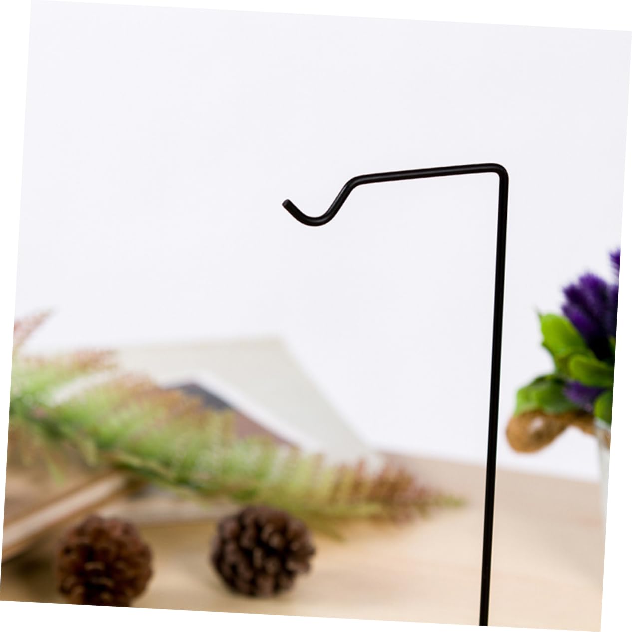 HAKIDZEL 5pcs Micro-Landscape Hydroponics Display Stand Glass Iron Plant Hanger Indoor Terrarium Decor