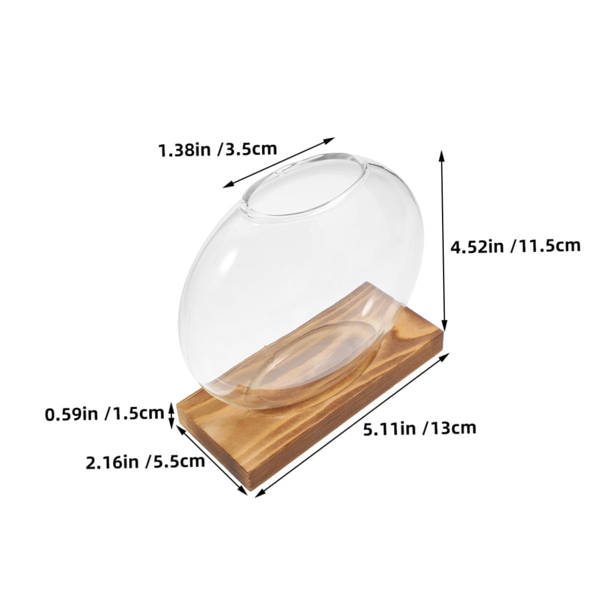 NULYLU 2Pcs Glass Plant Propagation Vases with Wooden Base, Hydroponic Terrarium Containers for Indoor Plants, Desktop Flower Vase Decor for Home and Office