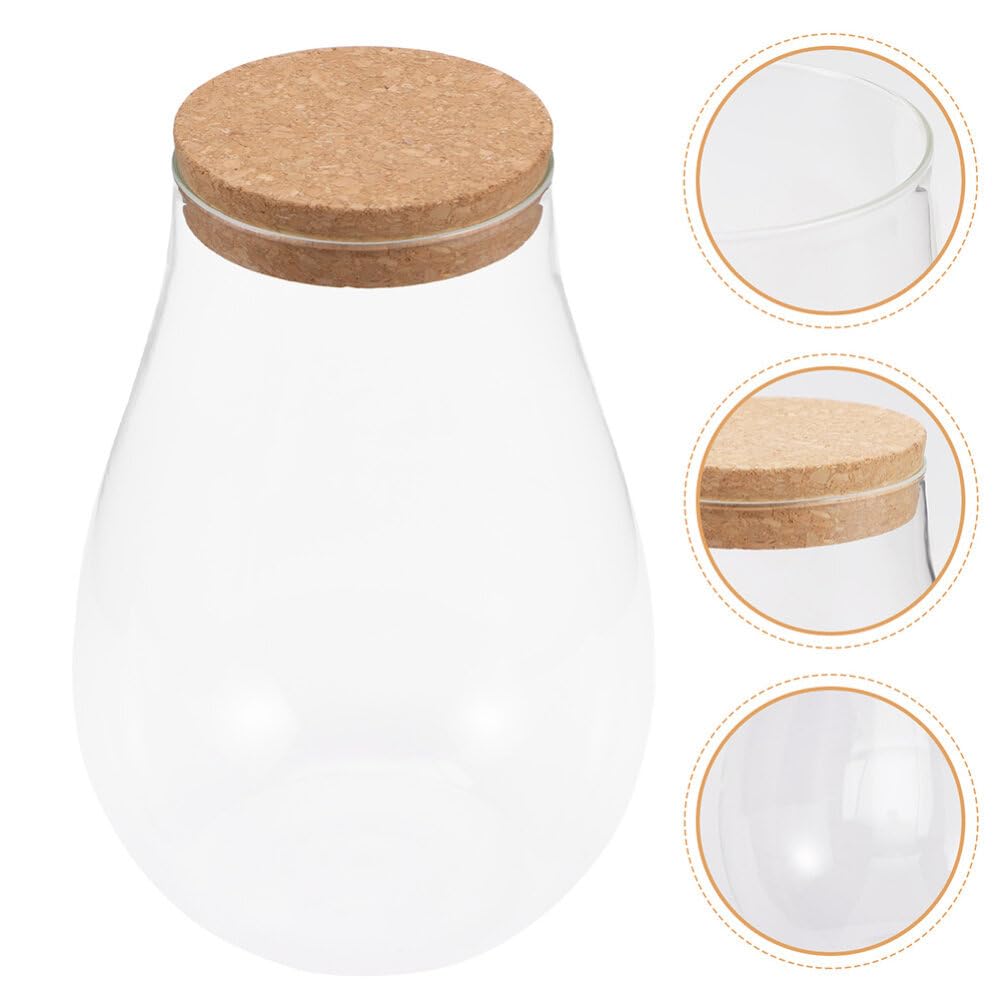 INOOMP 2pcs Glass Plant Terrarium, Tabletop Succulent Planter Sealed Glass Bottles Vial Air Plant Planter Candy Cookie Jar Fish Bowl Vase with Cork Top