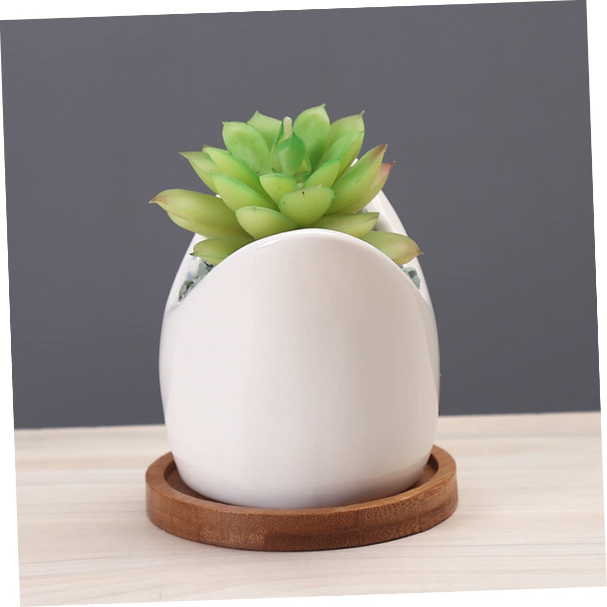 OFFSCH Adorable Ceramic Succulent Flowerpot Unique Big Mouth Shark Design for Indoor Decor Present for Friends and Planter