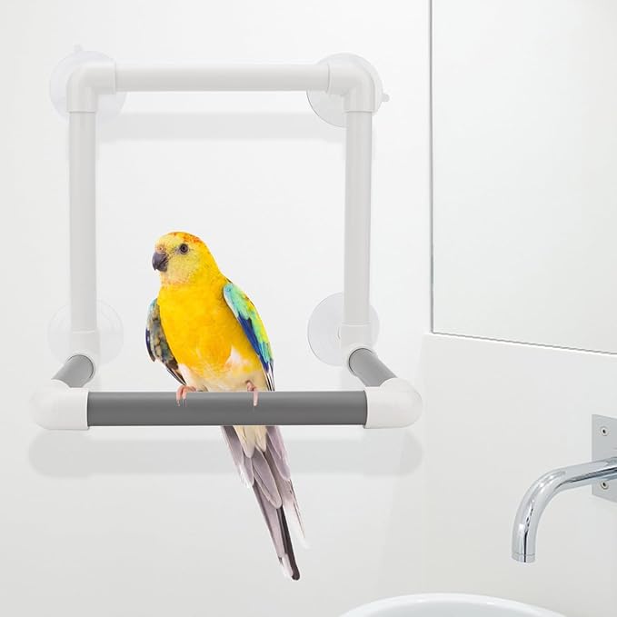 Hypeety Bird Portable Suction Cup Parrot Shower Perch Window Standing Platform Shower Bath Toy for Bird Parrot Macaw Cockatoo African Greys Budgies Parakeet Cockatiel