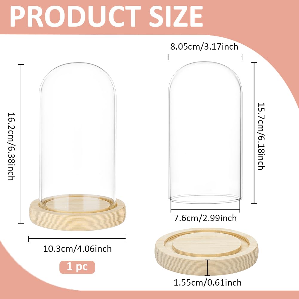 BENECREAT Glass Cloche Dome with Wood Base, 6.18x2.99inch Arch Display Dome for Plants and Collectibles, Complete Set Glass Bell Jar with Solid Wood Stand for Home Decor, Navajo White