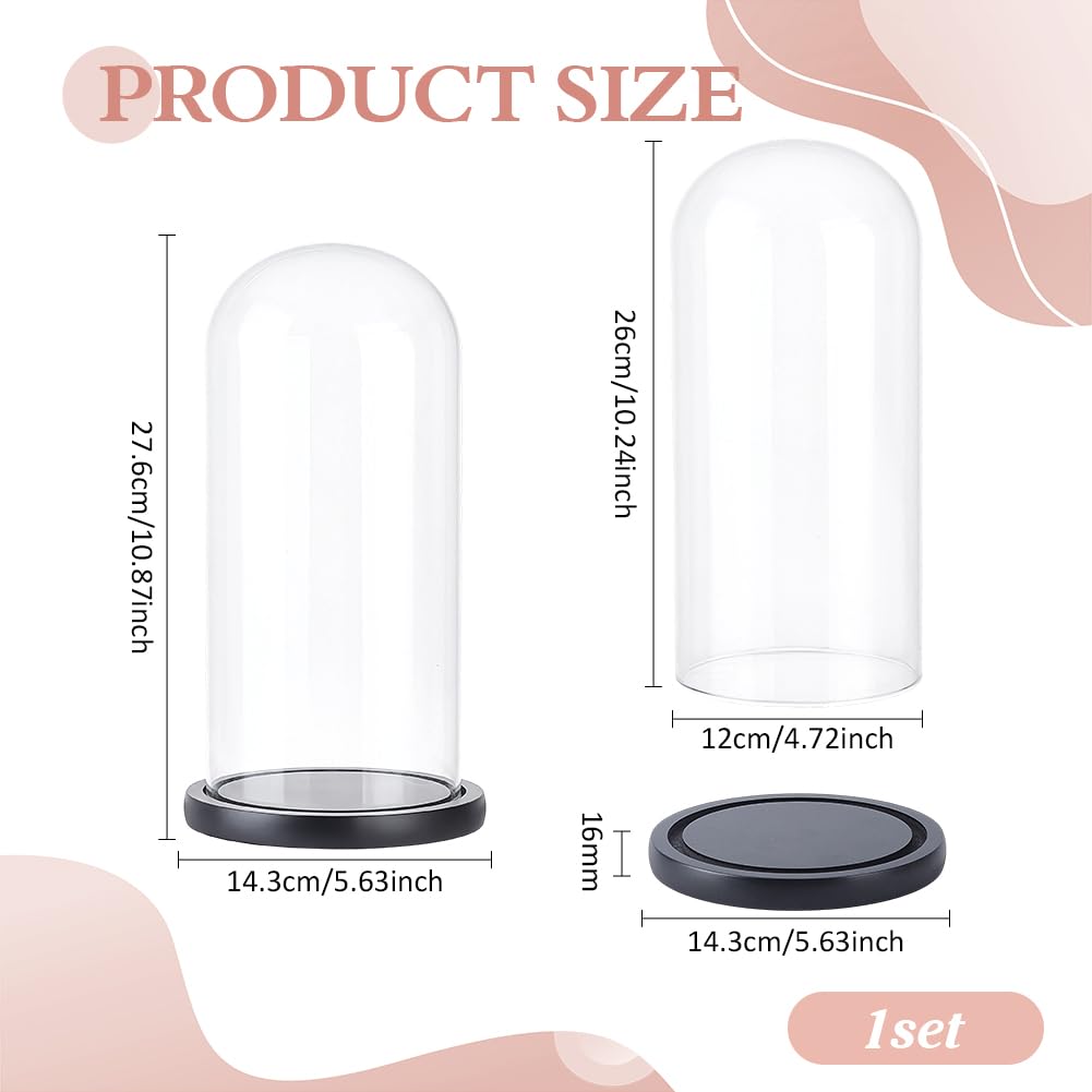 PH PandaHall Glass Cloche Display Dome 5.6x10.9inch Wooden Base Bell Jar Cover Clear Terrarium Display Cloche Bottles Storage Case Decorative Centerpiece Stand for Plants Flower Succulent Home Decor