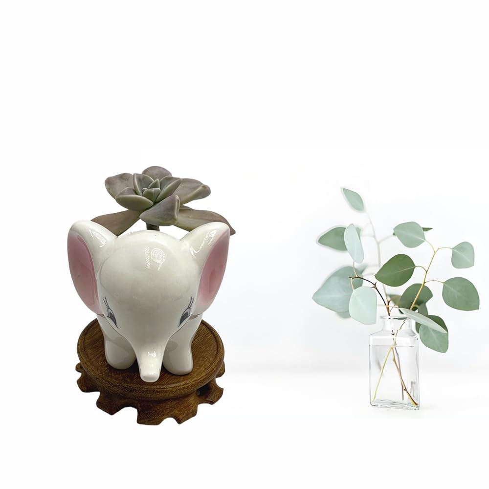 BEECO GIF2U Cute Ceramic Planter Pots,Planters for Indoor Shallow Houseplants Flower and Succulent with Drainage Holes and Wood Tray for Decoration Elephant