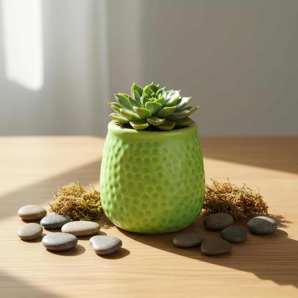 CERAMIQA 4 Inch Ceramic Succulent Planter Pot with Drainage Hole, Small Indoor Plant Pot, Mini Round Flower Pot for Cactus, Herbs & Houseplants, Modern Decorative Planter for Garden (Lime Green)
