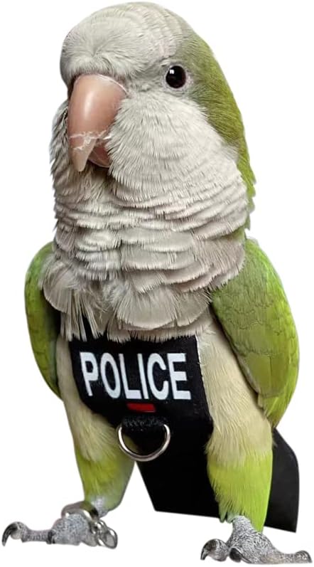 Bird Clothes Parrot Diapers Bird Flight Suits, Reusable Waterproof Diapers pet Bird Supplies (5XL)