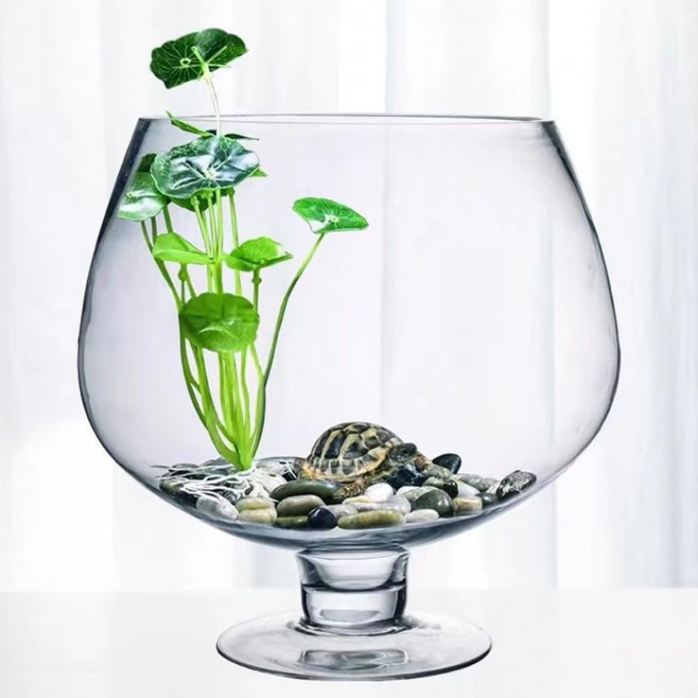 BESPORTBLE Glass Fish Bowl Vase - Clear Bubble Planter Terrarium Fish Bowl Wine Goblet Shaped Vase Transparent Hydroponic Bulb Floral Container