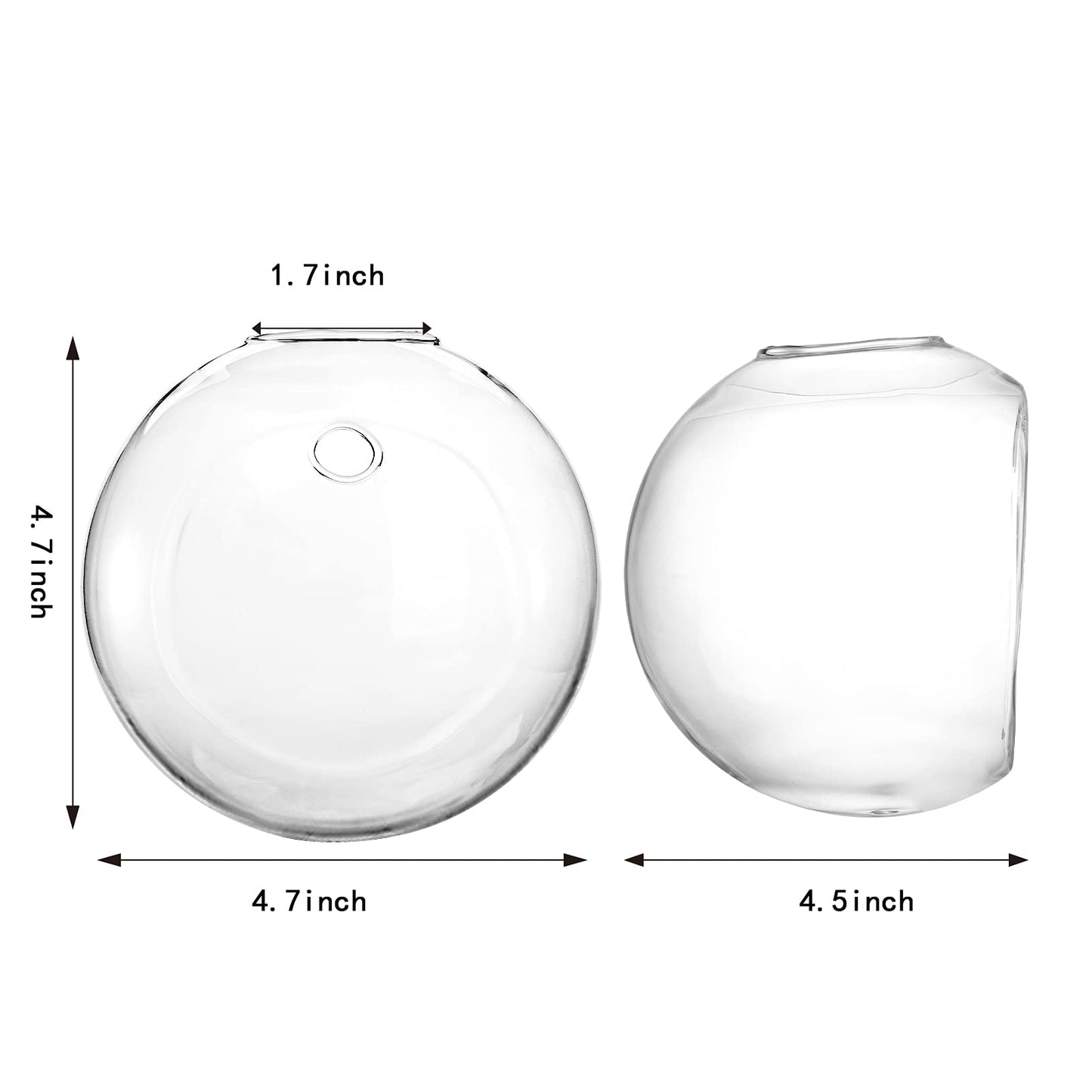 Yarlung 6 Pack Wall Hanging Planters Terrarium, 4.7 Inch Glass Oblate Globe Plants Containers, Wall Mount Clear Flower Vase for Propagating Hydroponics Plants, Air Plants (Plants Not Included)