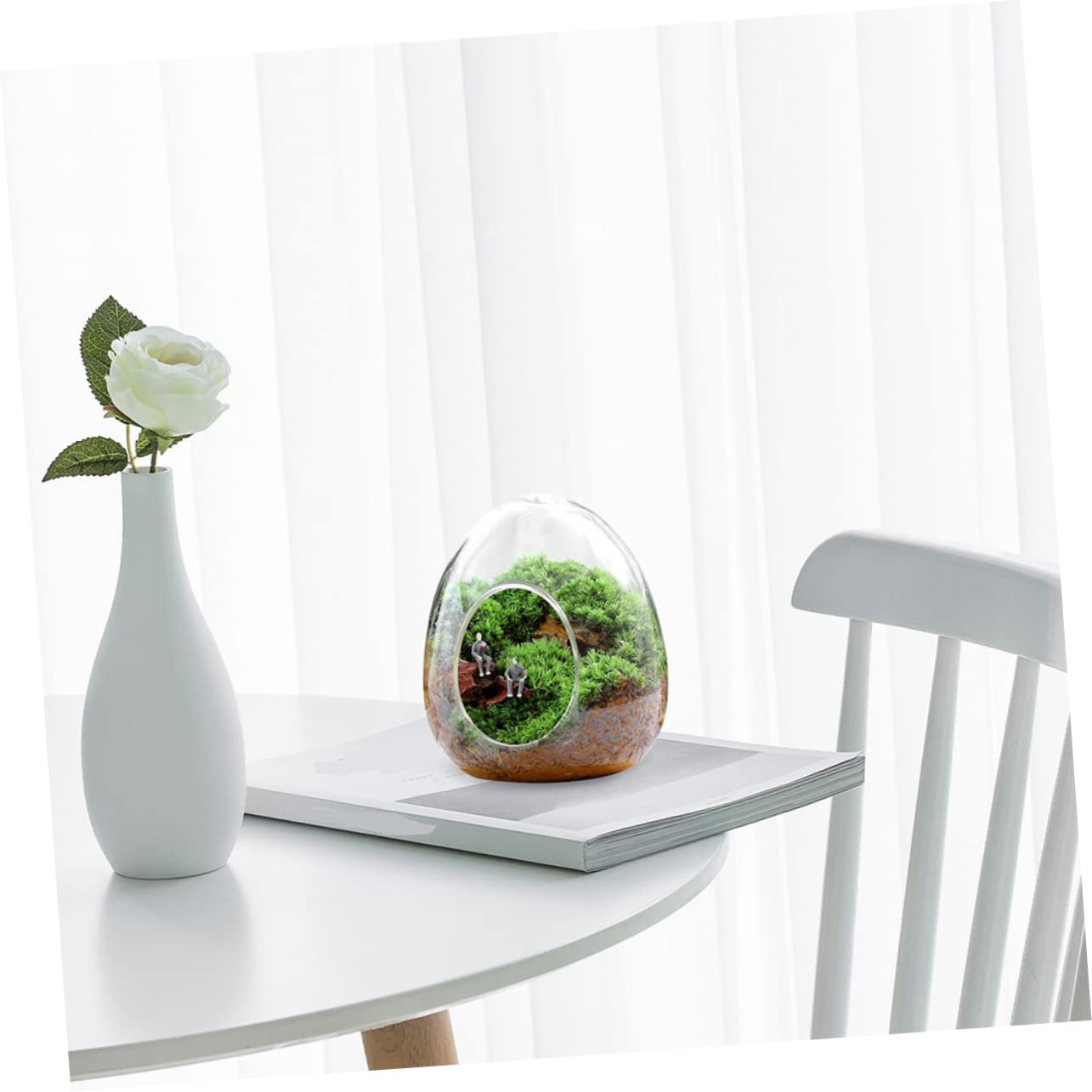 POPETPOP Glass Plant Propagation Station for Home Office Terrarium Supplies Eco Bottle