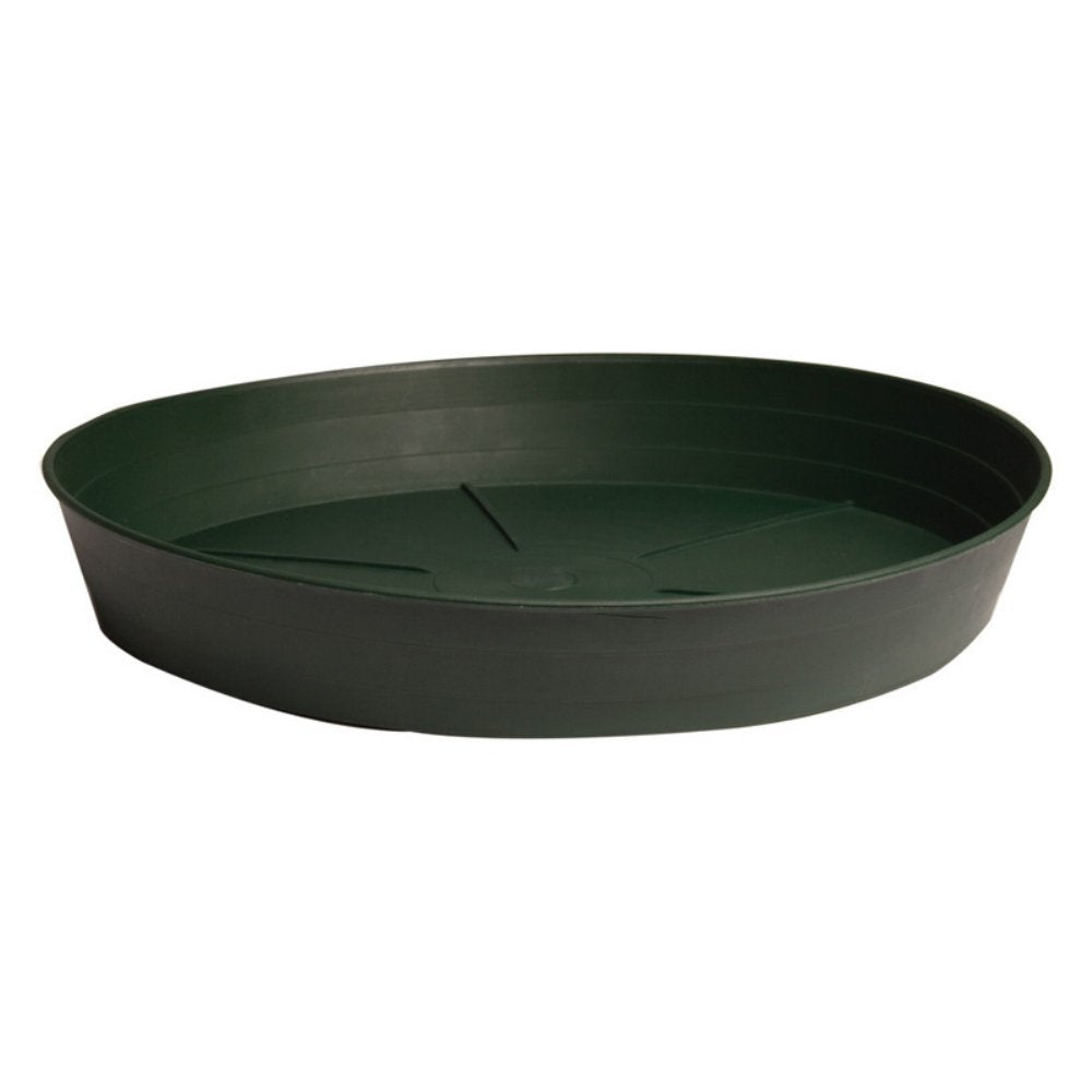 Hydrofarm HGS6P Green Premium, 6", Pack of 25 Saucer, 6"