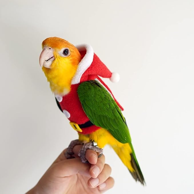 Bird Clothes Birds Flight Suit, Christmas Hoodie for Parrots Cockatiel Sun Conure Christmas Party Cosplay Photo Prop Bird Shirt Small Animals Apparel (with Diaper,Amazon)