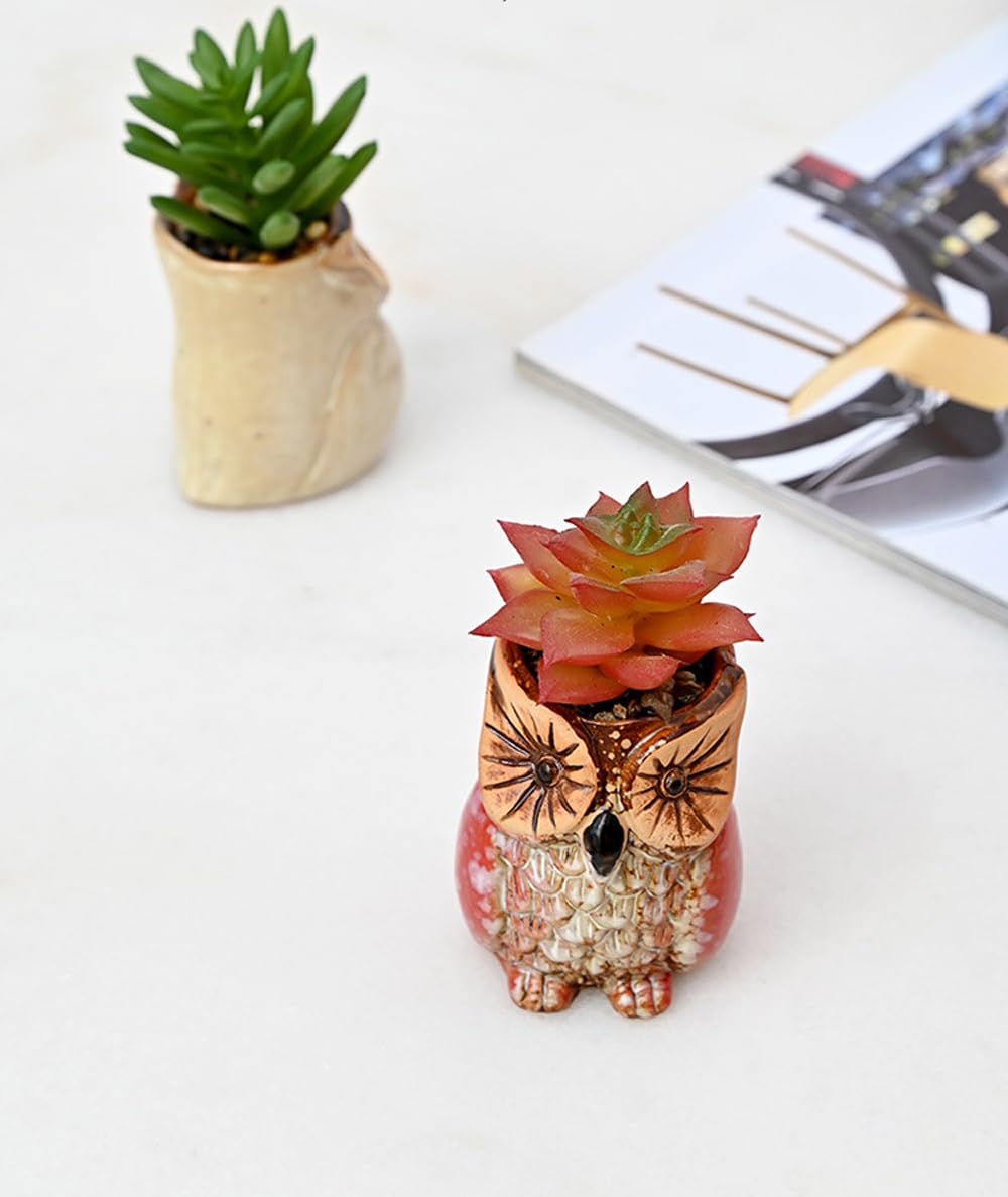 ROSE CREATE 6 Pcs Mini 2.5 Inches Colorful Owl Pots, Little Ceramic Succulent Owl Planters with Drainage Holes