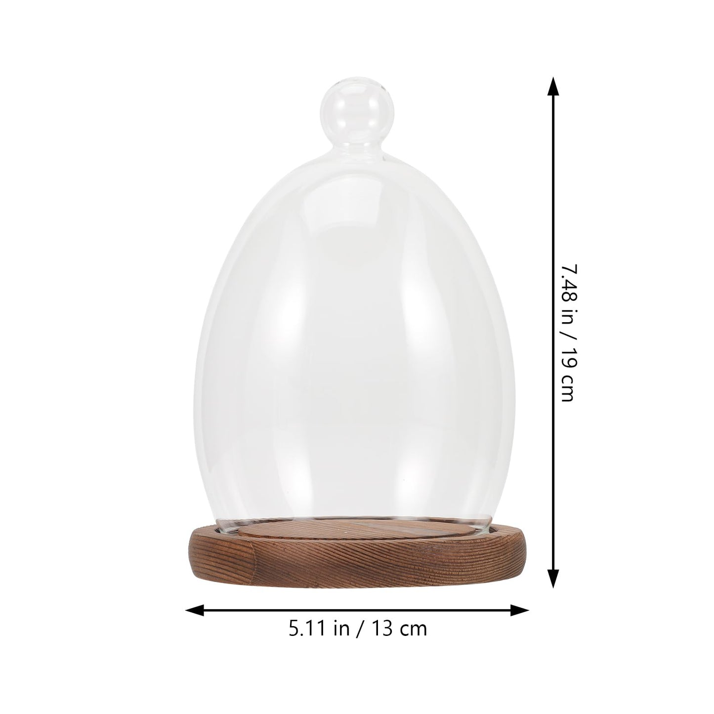 Abaodam Glass Display Dome Cloche with Wooden Base Glass Cloche Dome Display Showcase for Plants Dessert Cake Collectibles Figurine Flower Storage Christmas Party Favor Decoration