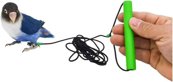 Bird Foot Chain with Flying Latex Elastic Training Rope Outdoor Parrot Ankle Foot Ring Accessories Bird Harness Leash Prevent Escaping (Model5-With 78.7inch Leash)