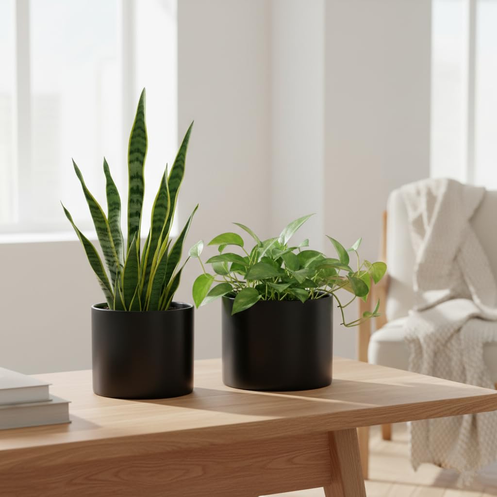 Nihow Flower Pot - 5 & 7 Inch Ceramic Planter Pots for Indoor Plants - Herbs/Snake/Succulent/Orchid Cylinder Plant Pot - Matte Black (Set of 2) - Plants not Included