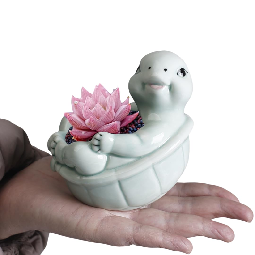 ourhommie Turtle Succulent Planter Pots Ceramic Air Plants Holder Cute Flower Cactus Display Container Miniature Plants Pot Small Pottery Bonsai Pot Home Garden Decor for Plants Lover, No Plant