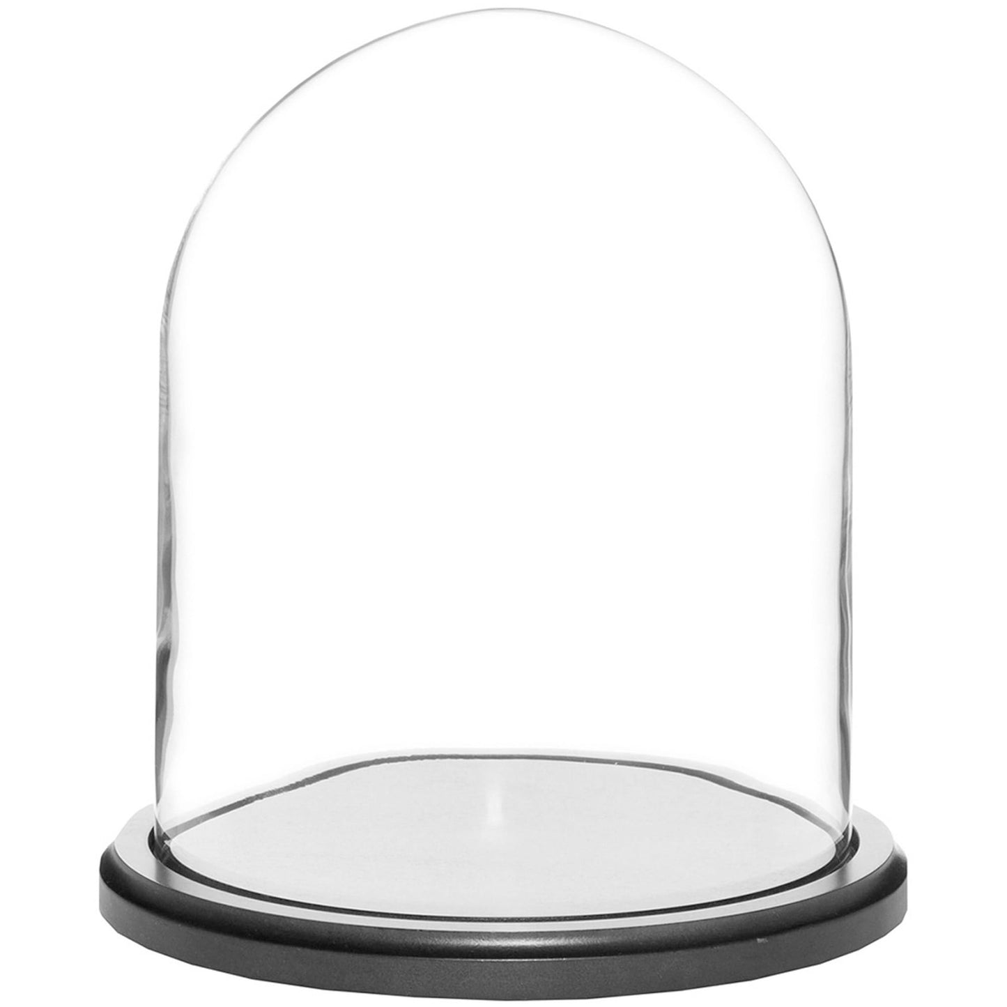 Plymor 8" x 10.25" Glass Display Dome Cloche (Black MDF Wood Base)