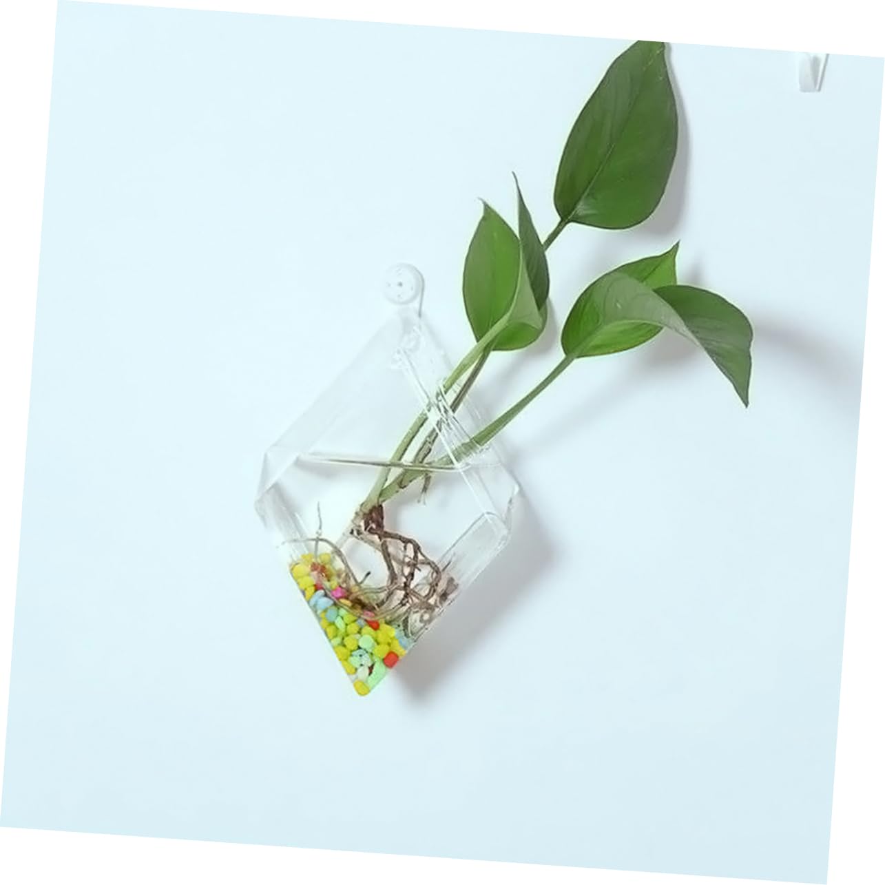 Zerodeko 2pcs Rhombus Glass Flower Vase Wall Planter Terrarium Container Decor for Home Office and Garden Decorative Hanging Planter for Plants and Propagation Display