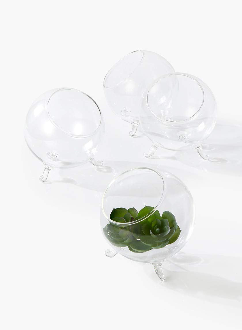 Serene Spaces Living Set of 24 Mini Greenhouse Bowl, Glass Balls for Plants, Succulent Orbs for Centerpiece at Weddings, Events, Measures 4.5" Tall and 4" Diameter