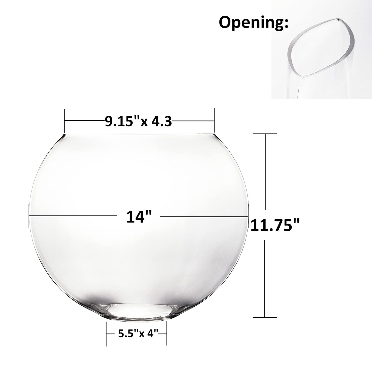 CYS EXCEL Glass Moon Vase Oval Bowl (H:11.75" L:14") | Multiple Size Choices Round Flower Vase Centerpiece | Plant Terrarium Bowl Vase