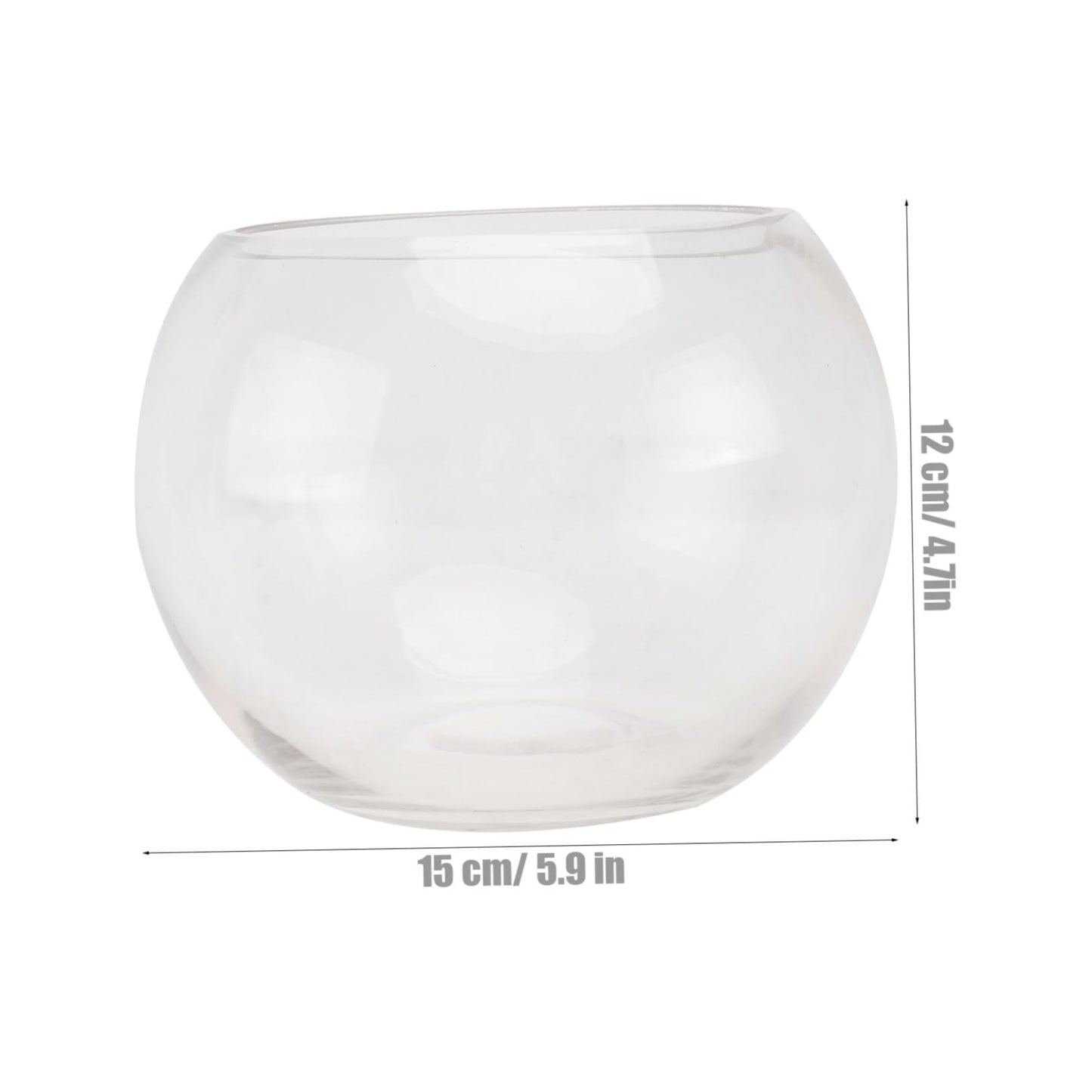 Uonlytech Transparent Glass Hydroponics Flower Vase Terrarium Pot Decorative Plant Holder for Home Office Hotel Desktop Ornament