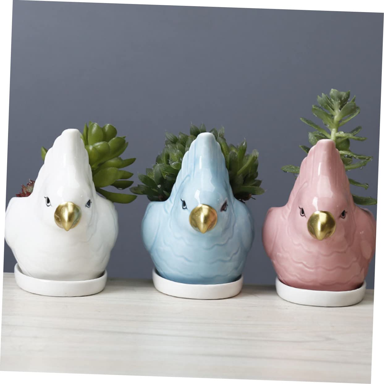 BESPORTBLE Ceramic Flower Planter with Tray Cartoon Parrot Design Indoor Succulent Pot Bonsai Container Gift and Home Decor
