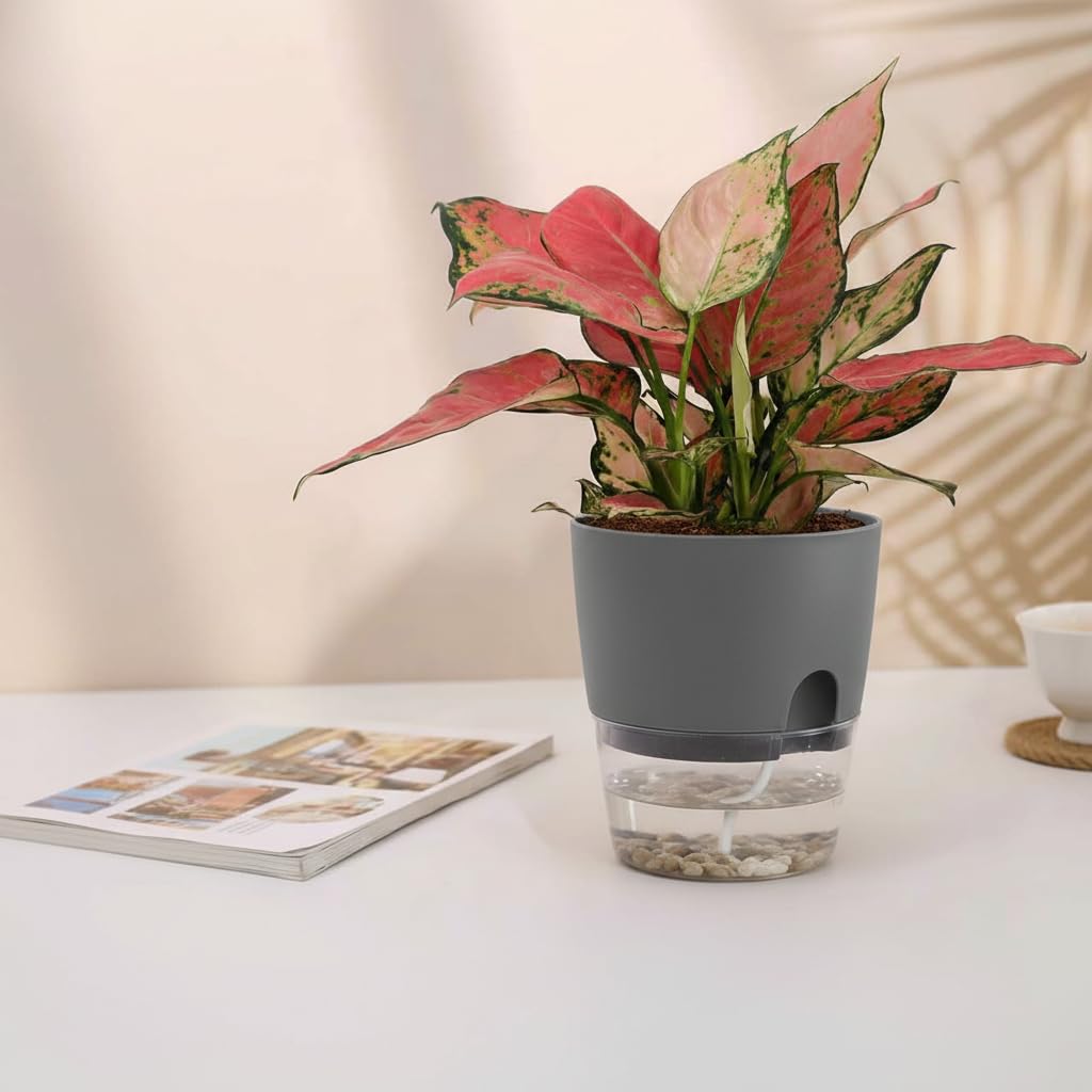 Vanavazon 6 Inch Self Watering Planter Pots for Indoor Plants, 3 Pack African Violet Pots with Wick Rope-Grey