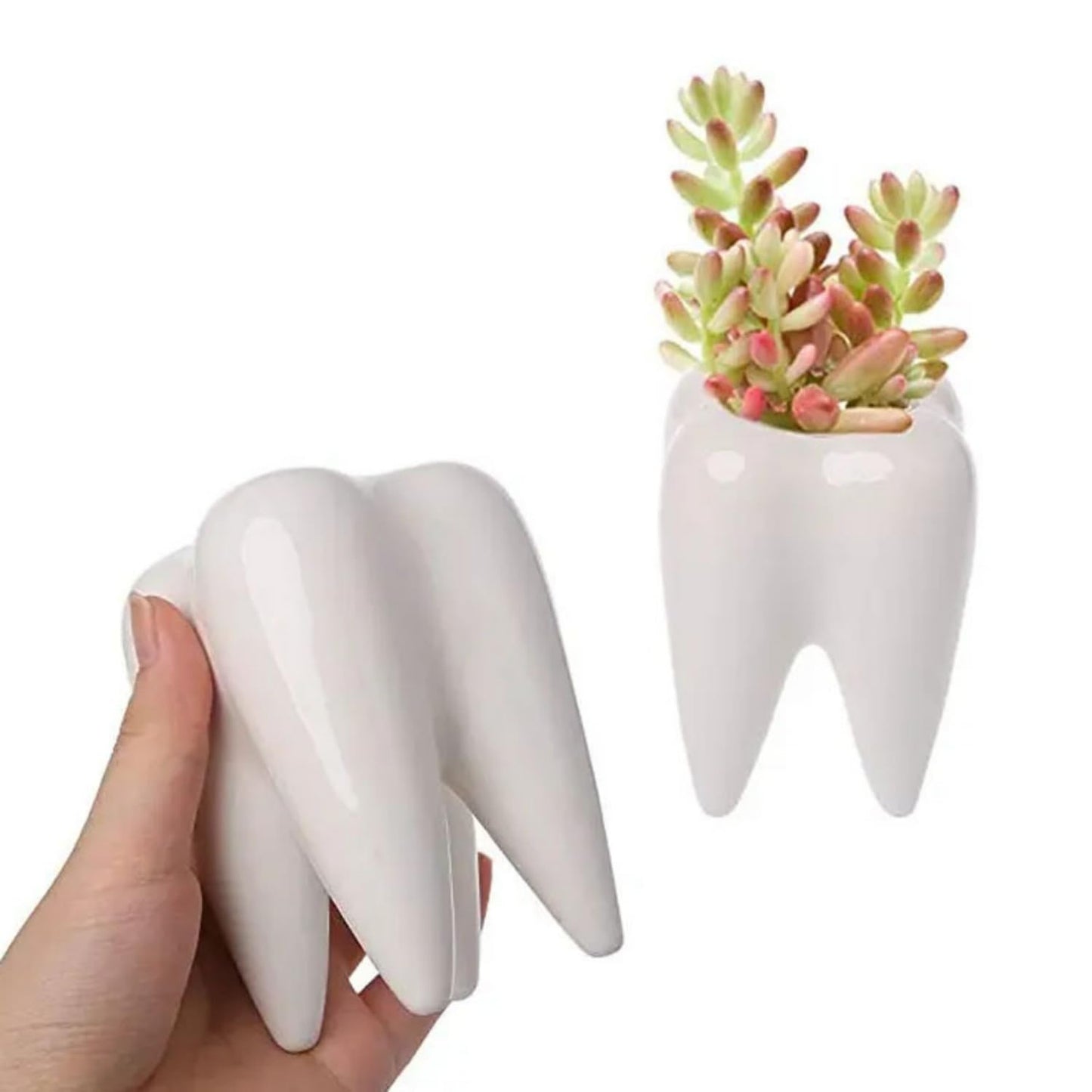LECMACY Cute Tooth Shaped White Ceramic Planter Pots Flower Plant Containers, Mini Ceramic Succulent Planter Pots, Creative Pen Pencil Holder for Office Home Desk Decor, Plants Not Included (4 Pcs)