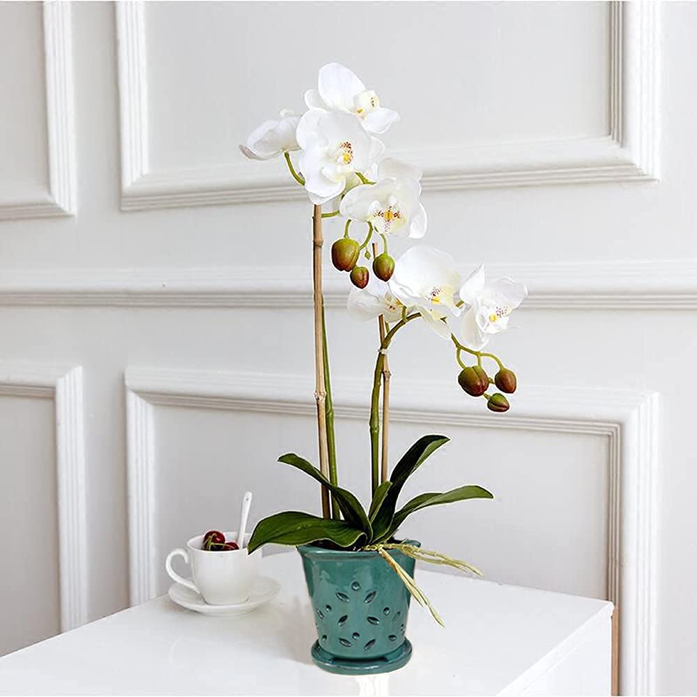 Ceramic Orchid Pots with Holes 6 Inch, Round Green Ceramic Orchid Pot with Saucer, Ceramic Air Plant Pot with Holes, Butterfly Pot Saucer Windowsill Contemporary Home Decoration, Forest Green