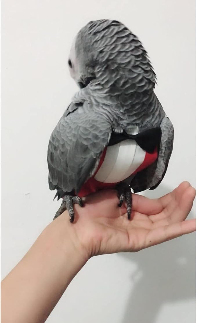 Bird Flight Suits Diapers, Parrot Flight Suits Diapers for Monk Parakeets, Cockatiels Flight Suits, Parrot Clothes, Bird Training Nappy Suit Liners Clothes (Small,Red)