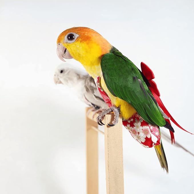 Bird Flight Suit Diapers for Monk Parakeets, Cockatiels - Parrot Clothes, Training Nappy Suit Liners (Medium, Red-A)