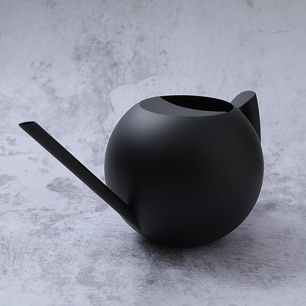 Chemlliy Watering Can with Long Spout and Comfortable Handle, 35 oz/1000ml Small Watering Can for Indoor Plants, Stainless Steel Garden Watering Pot for Indoor House Plants Bonsai Flower Decorative