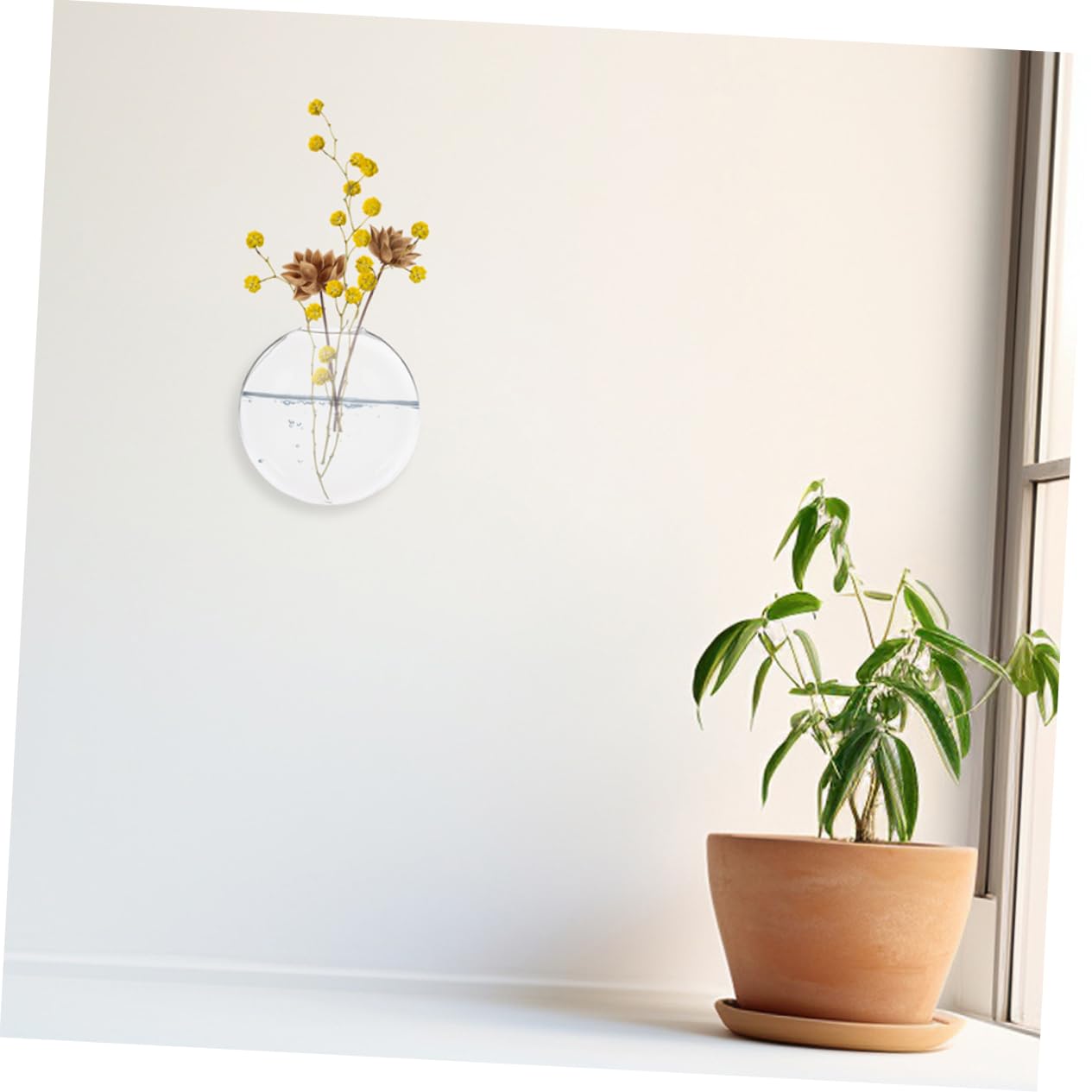 Cabilock Wall Mounted Hydroponics Glass Plant Vase Hanging Terrarium for Indoor Plants 4-Piece Set for Home Decor