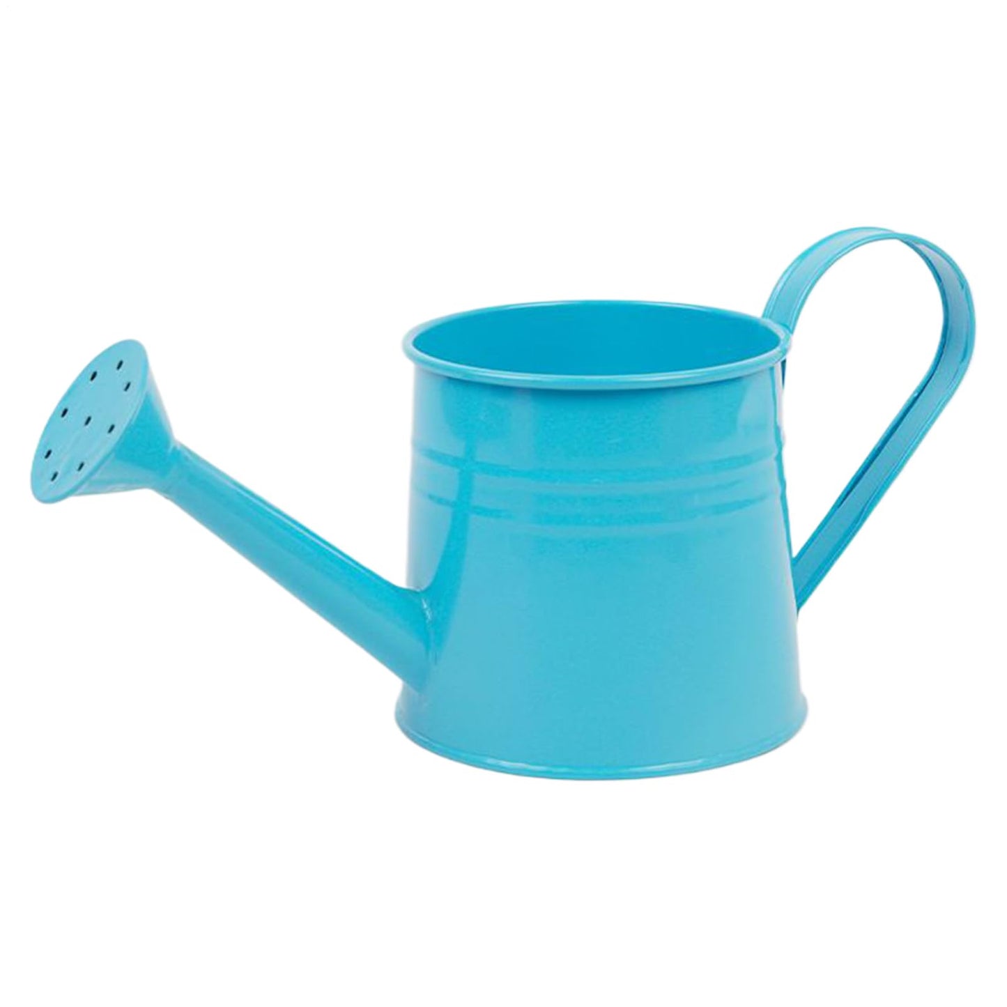 Garden Watering Can - 1L Metal Plant Pot, Long Spout Water Jug, Decorative Flower Container | Watering Bucket for Indoor Plants Outdoor Garden Balcony Patio Greenhouse Lawn Flower Tasks