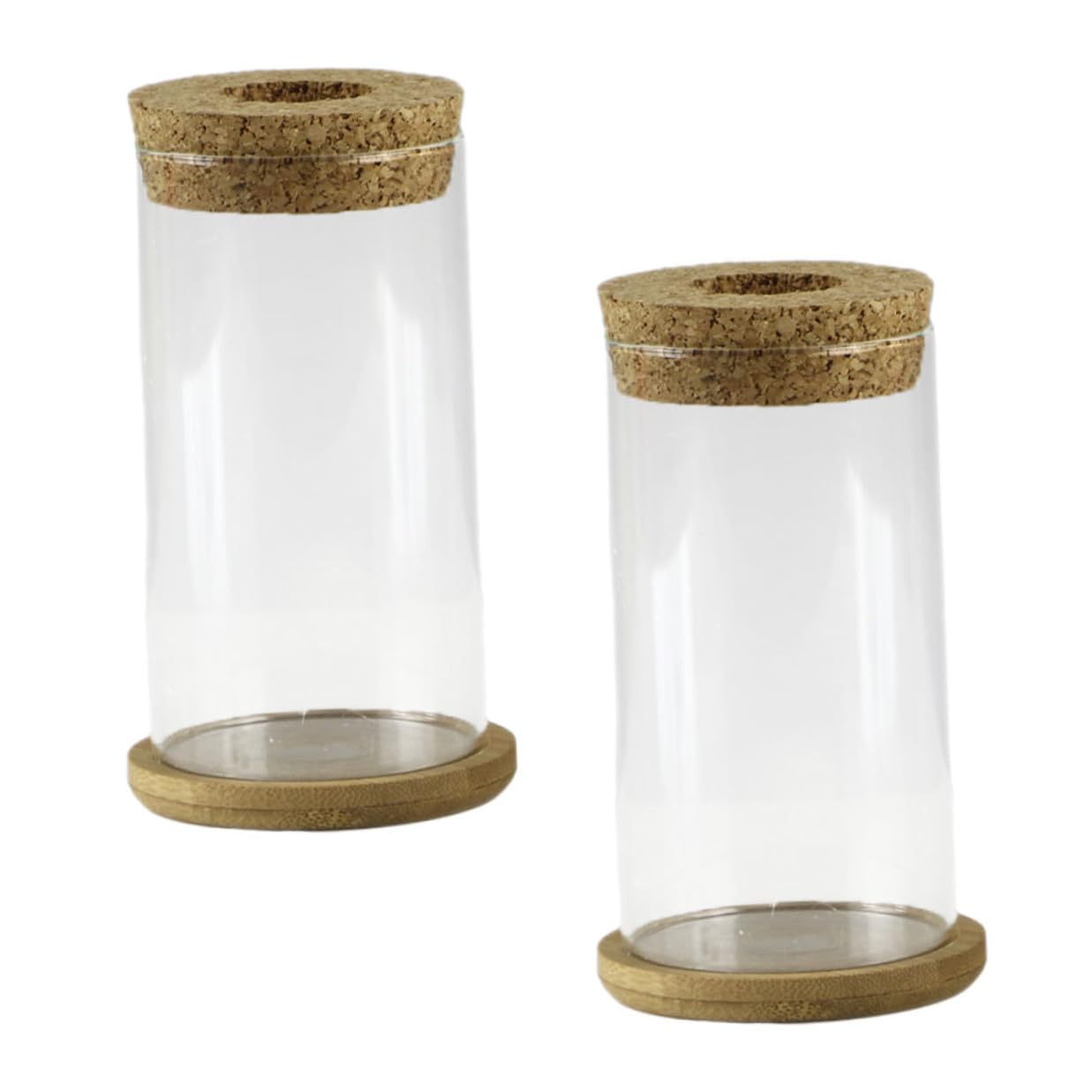 MAGICLULU Glass Hydroponic Vase Set for Succulents and Green Plants, Glass Flower Arrangement Container with Mat, 6.5x12cm, 2pcs Home Décor Terrarium Planter