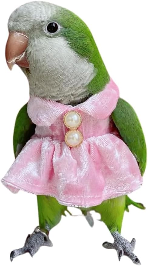 Bird Costume Bird Diaper Flight Suit Parrot Velvet Fleece Skirt Clothes Cosplay Photo Prop for Conure Lovebird Parakeet Cockatiel Macaw Small Animals Apparel (Pink,Small)
