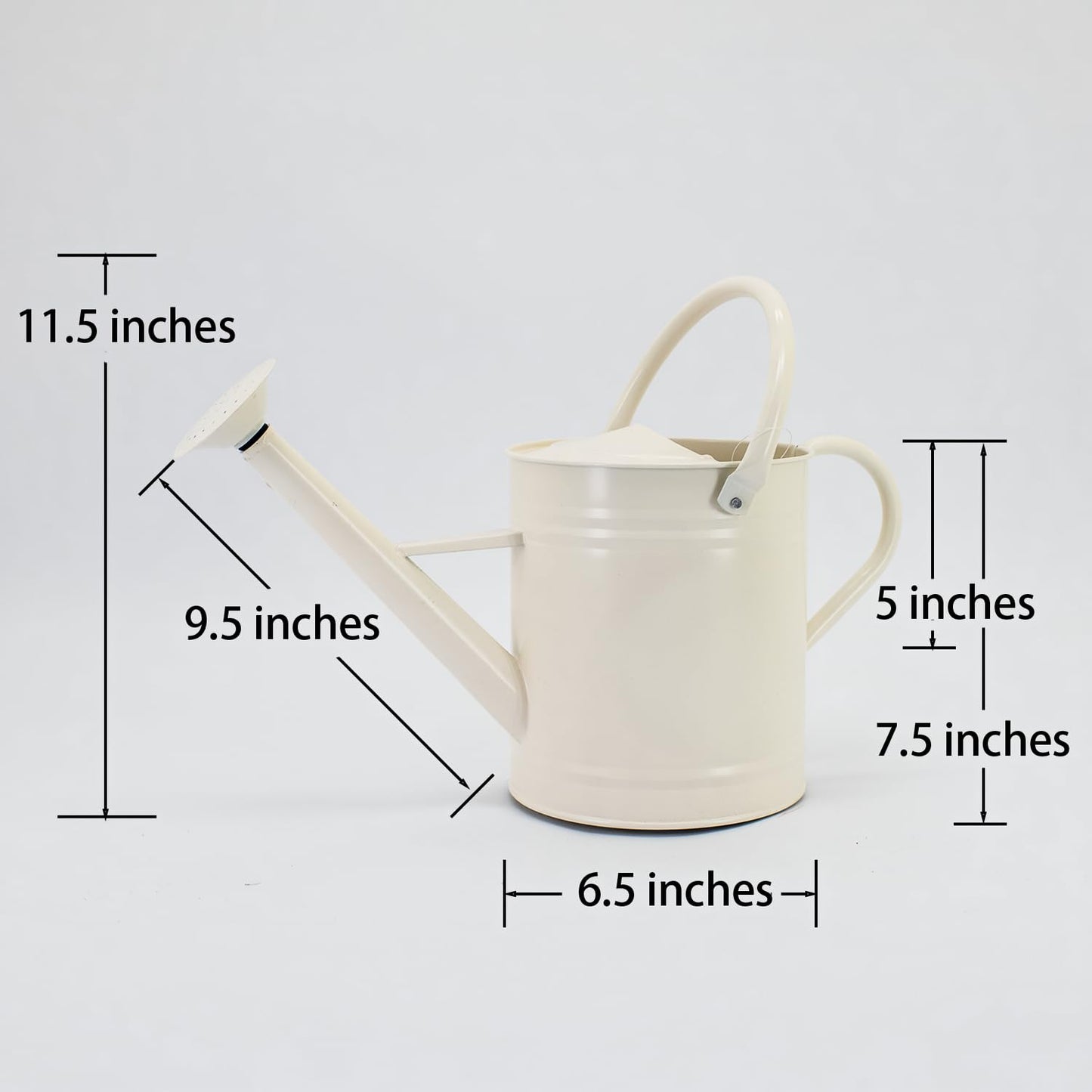 HORTICAN 1 Gallon Watering Can, Matte Cream, Metal Watering Can with Removable Spout, Galvanized Water can, Perfect Plant Water Can for Outddor and Indoor Use