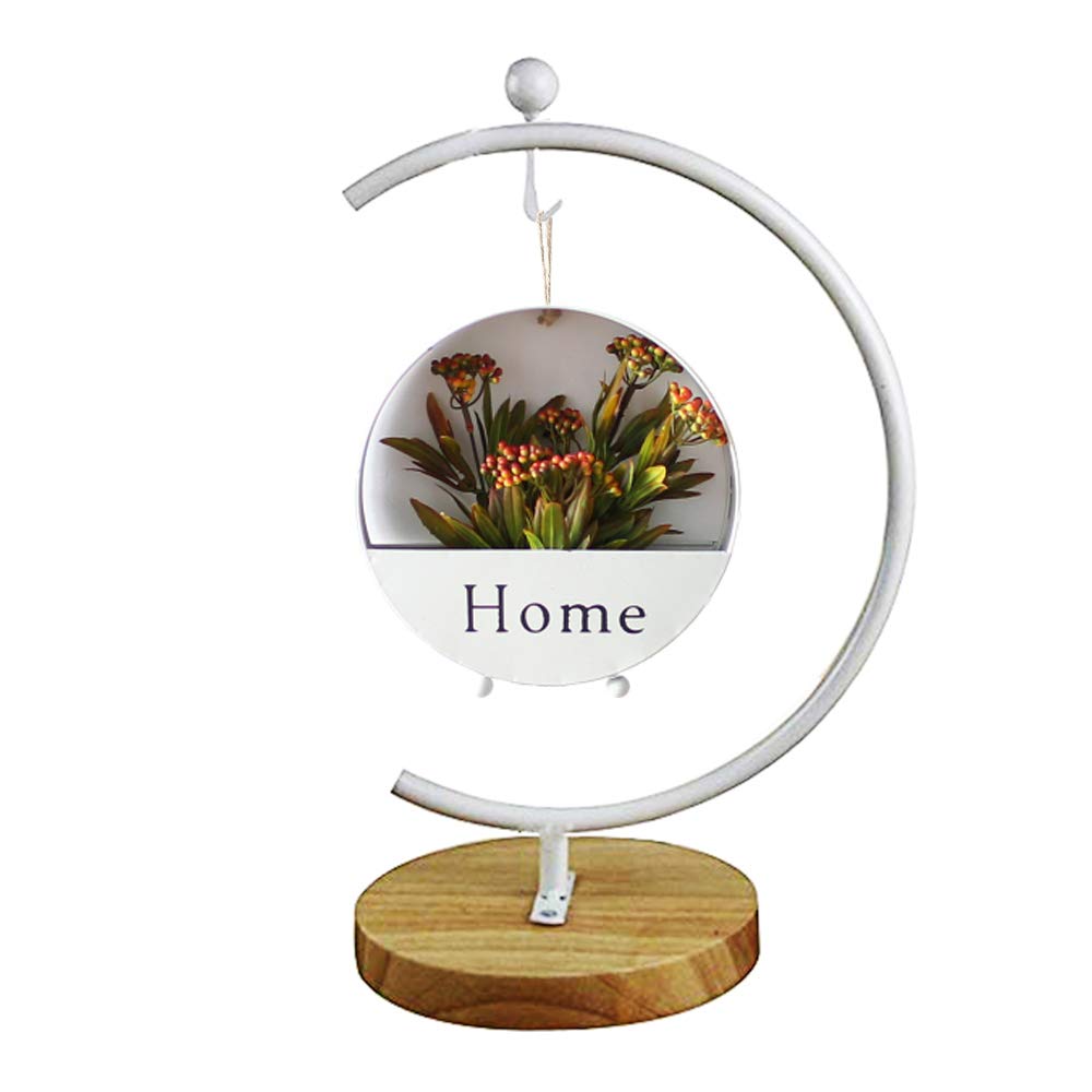 Archi G-Shaped Ornament Display Stand Iron Pothook Stand for Hanging Glass Terrarium/Picture with Wood Base(G Shape-White)