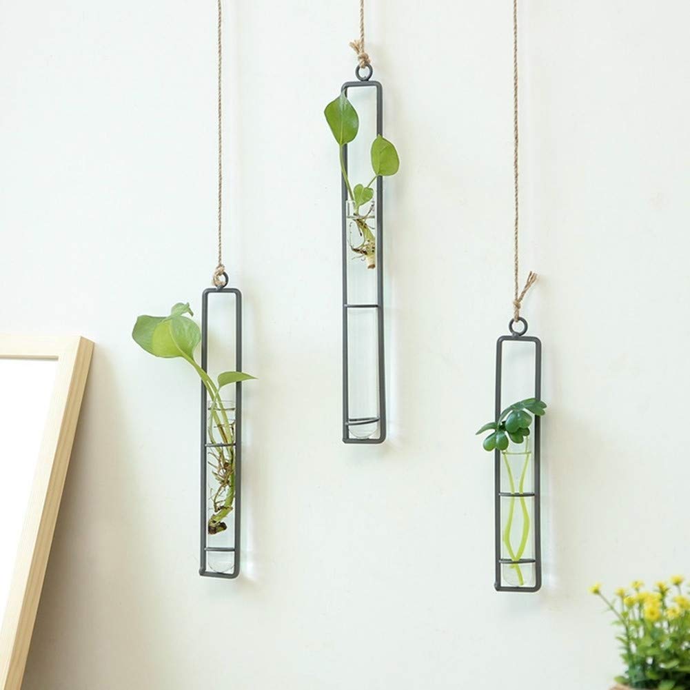 Sziqiqi Glass Propagation Station Test Tube Vases Clear Glass for Cuttings, Buds, Greenery Hydroponic Plant Propagation Home Balcony Bath Wall Decoration Floral Container Set of 3 Black