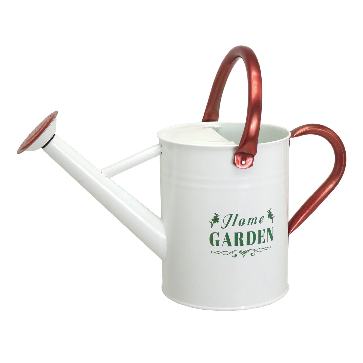 Lechloris Metal Watering Can for Outdoor Plants, Galvanized Steel Watering Can with Removable spout, 1 Gallon,Perfect Home & Garden Décor White