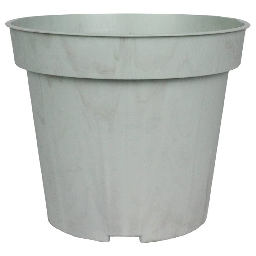 The HC Companies Biopax 4 Inch Eco-Friendly, Biodegradable Plant Pots - Perfect for Seed Starting or Vegetables (Set of 6)