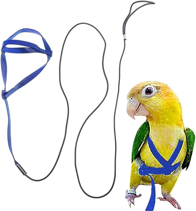 Adjustable Bird Harness and Leash,Anti-Escape Durable Nylon Parrot Harness, Flying Training Rope Parrot Leash for Small Medium Large Breed Parrots Fits Chest Under 24.4'', Blue L
