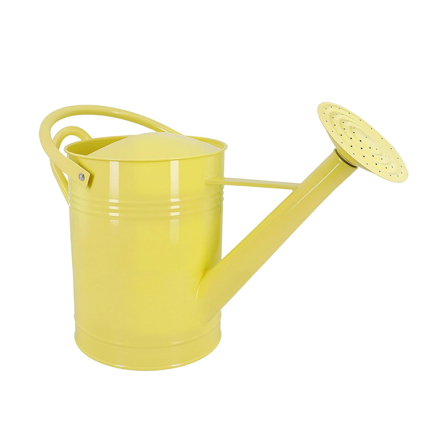 Galvanized Iron Watering Can for Indoor Plants, DIY Watering Cans for House Plant Garden Flower, Long Spout Water Can for Outdoor Watering Plants 6.44L 1.7Gallon (Beige)
