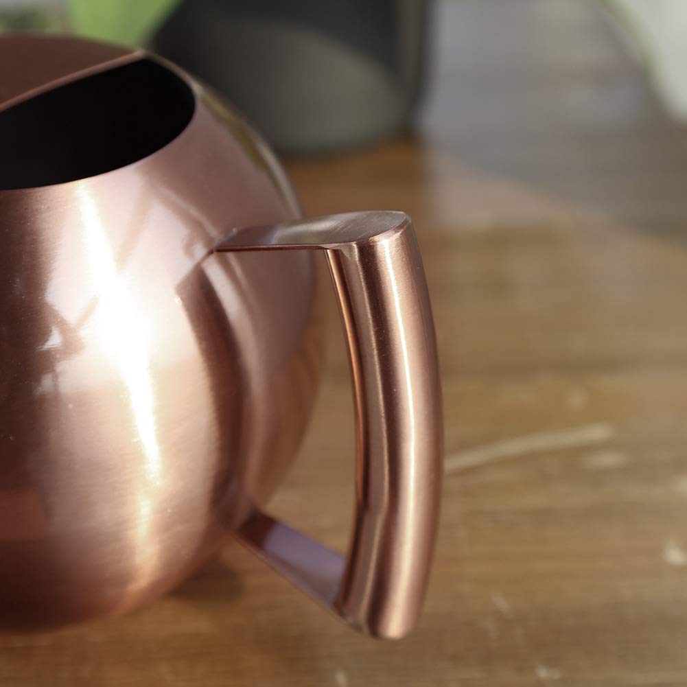 Chemlliy Watering Can with Long Spout and Comfortable Handle, 35 oz/1000ml Small Watering Can for Indoor Plants, Stainless Steel Garden Watering Pot for Indoor House Plants Bonsai Flower Decorative