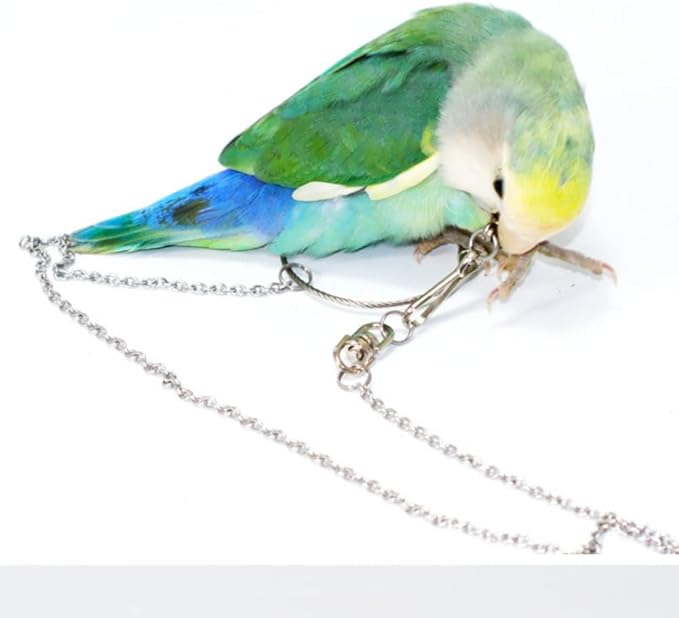 Bird Foot Chain Flying Stainless Steel Training Rope Outdoor Parrot Ankle Foot Ring Accessories Bird Harness Leash Prevent Escaping (7#)