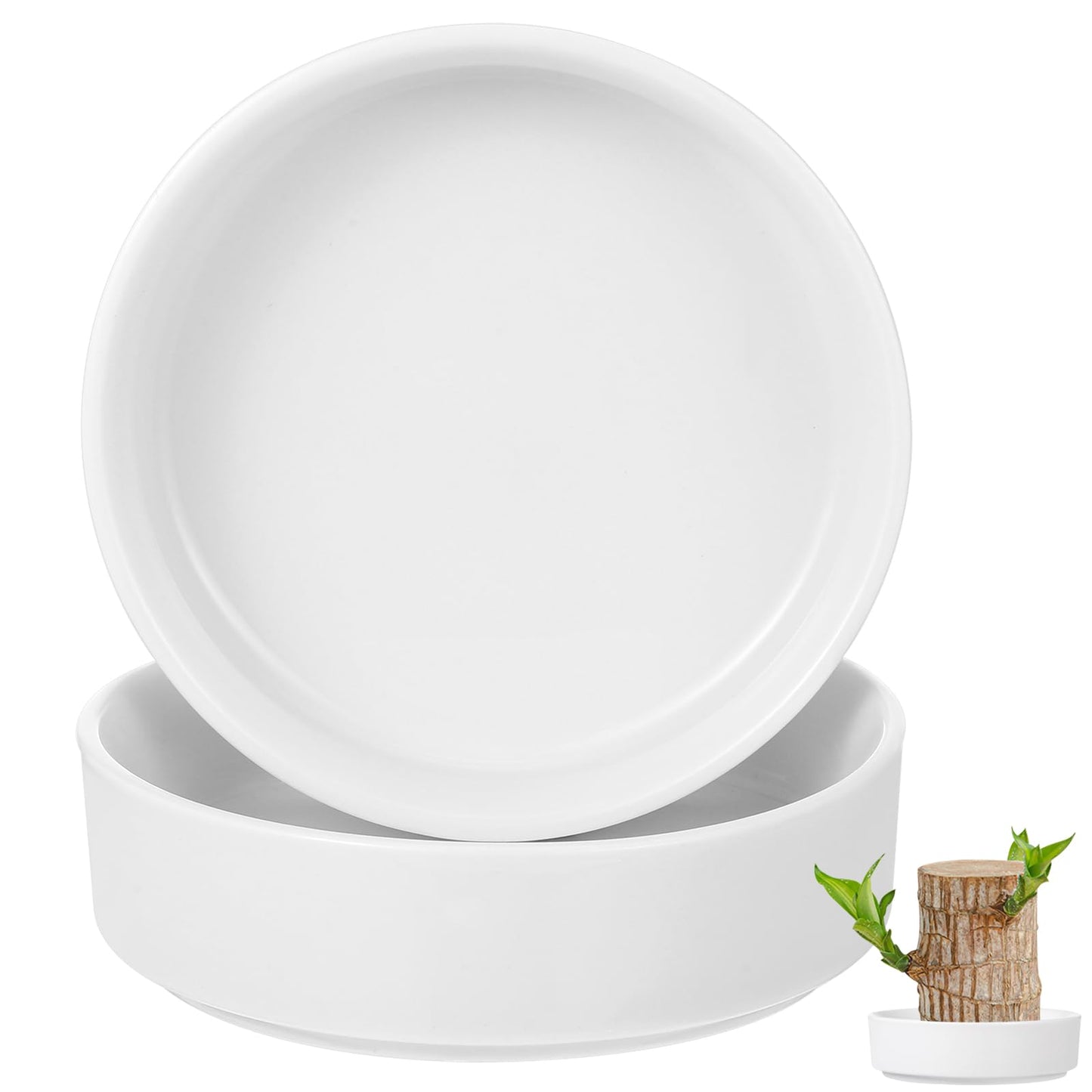 GANAZONO 2pcs Brazilian Wood Pallet Brazilian Plant Ceramic Tray Brazilian Wood Plant Saucers Ceramic Tray Holders for Indoor Plants 4in