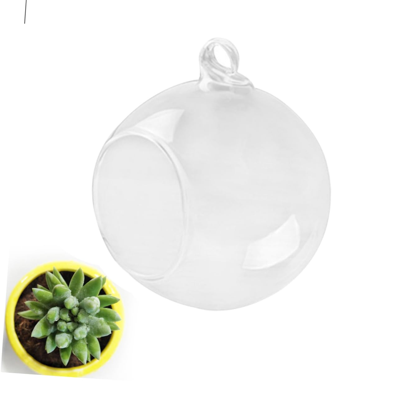 Cabilock 4pcs Hanging Glass Terrarium Shape Container for Plants Home Decor Wedding Decoration Flat Base Design