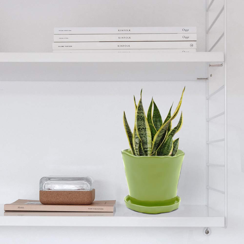 CHIVE ‘Tika’ Ceramic Planter Pot — Large 8" Succulent Pots for Indoor & Outdoor House Plants — Cute, Beautiful Modern Farmhouse Kitchen Decor — Green