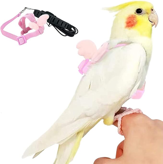 Birds Adjustable Harness and Leash, Parrot Outdoor Flying Training Traction Rope Straps with Cute Wing for Small Animal Birds, Parrots, Pigeons, Lizard, Turtles (L,Pink)