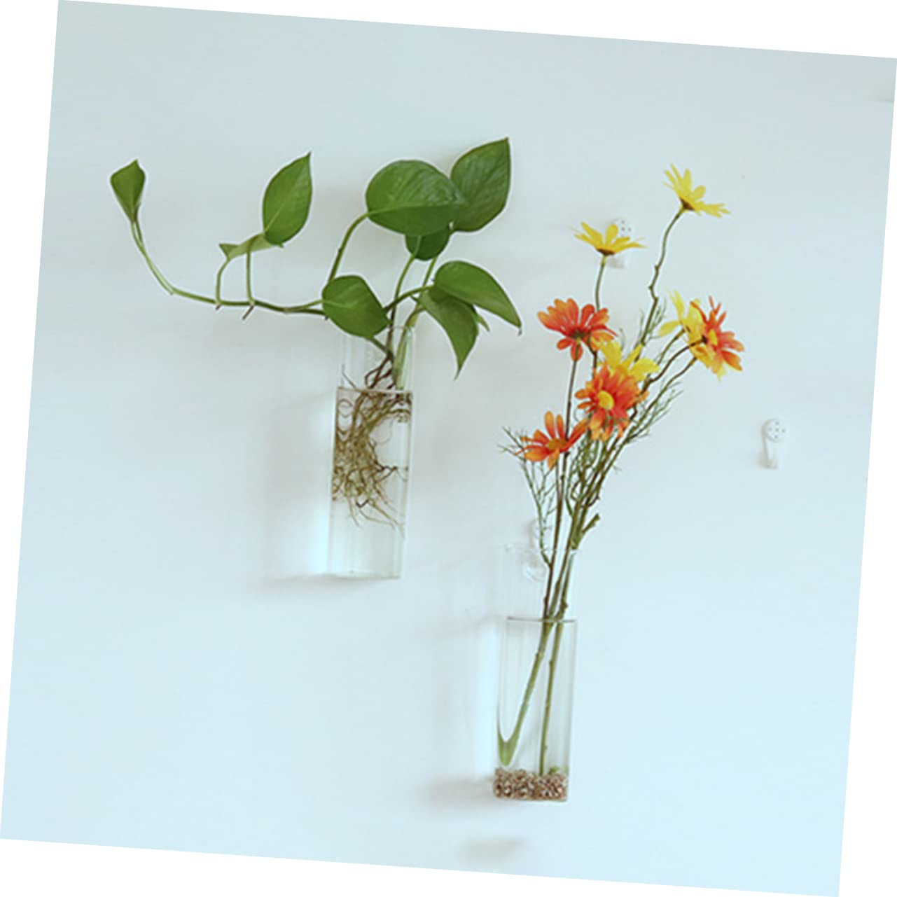 Abaodam Creative Wall Hanging Glass Flower Vase for Water Planting Terrarium Container Decor Unique Design for Indoor Plants Eye Catching Planter